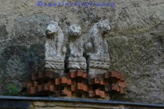 DSCN1579