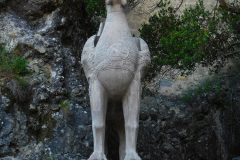 DSCN1584