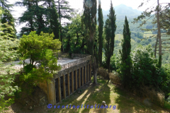DSCN1603