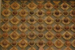 DSCN1621