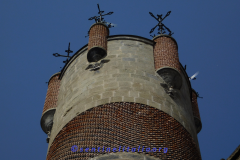 DSCN1626