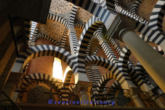 DSCN1630