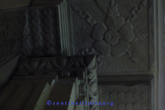 DSCN1638