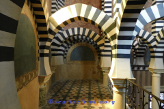 DSCN1642
