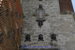 DSCN1653